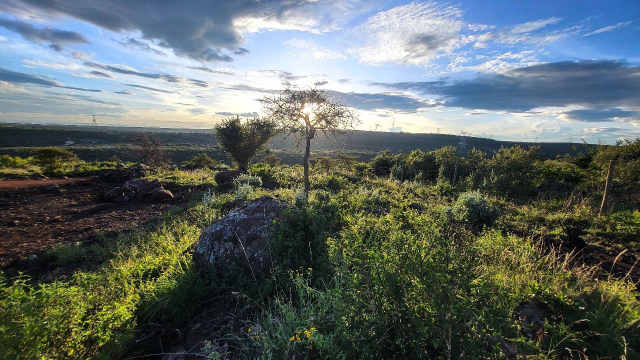 FARAJA GARDENS | PHASE 2