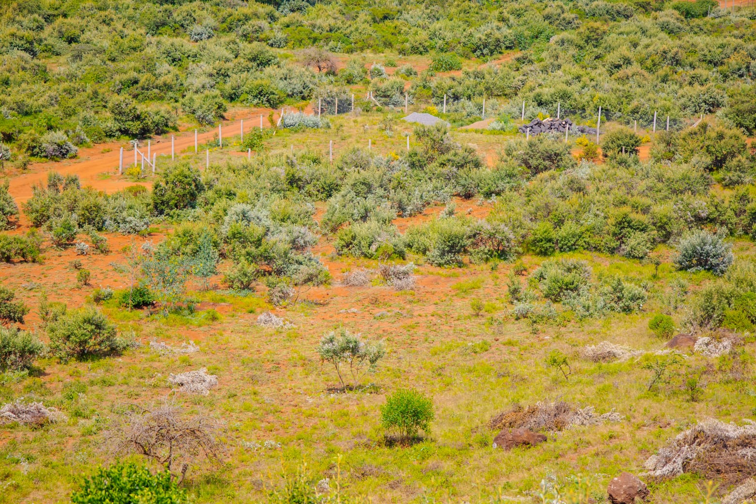 FARAJA GARDENS | PHASE 3 image 6