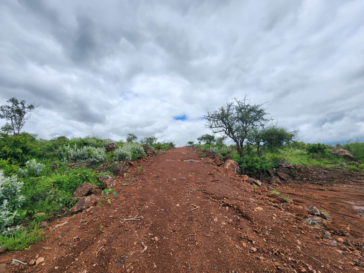 FARAJA GARDENS | PHASE 2 image 4